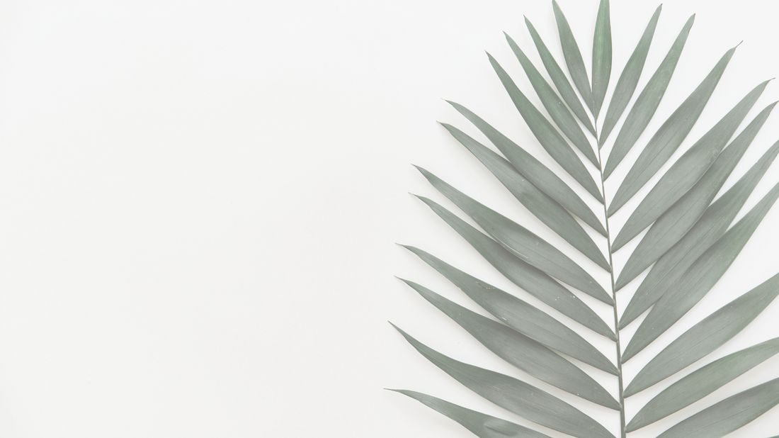 WHY YOUR SKIN DESERVES BETTER