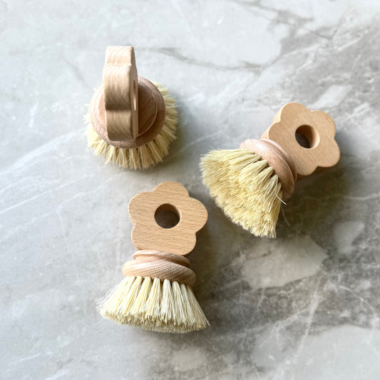 Dishwashing Brushes