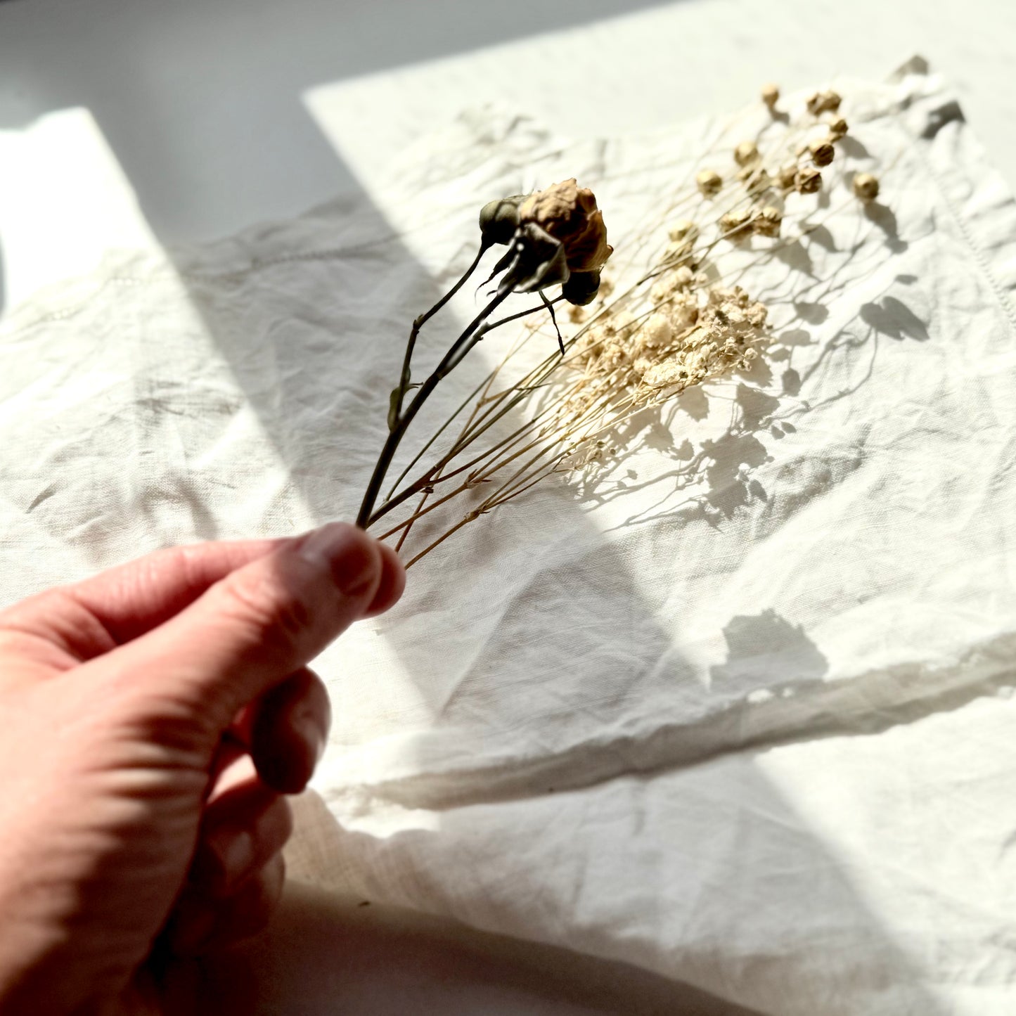 Organic Flourish Lip Collection